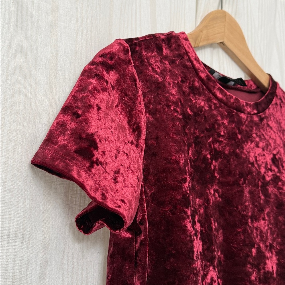 🌈5/$25 BUNDLE! Forever 21 Red Crushed Velvet Short Sleeve Top - Picture 3 of 3